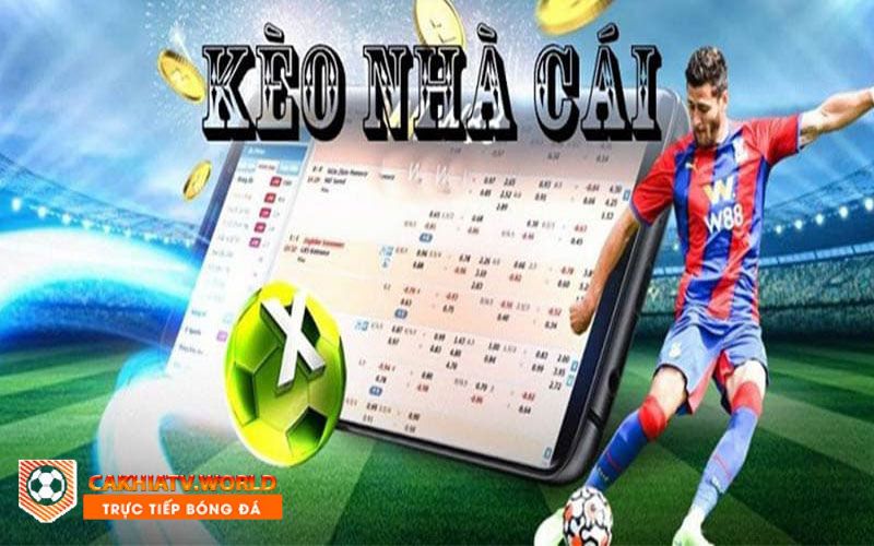 Cakhiatv đưa ra tỷ lệ kèo của các nhà cái uy tín